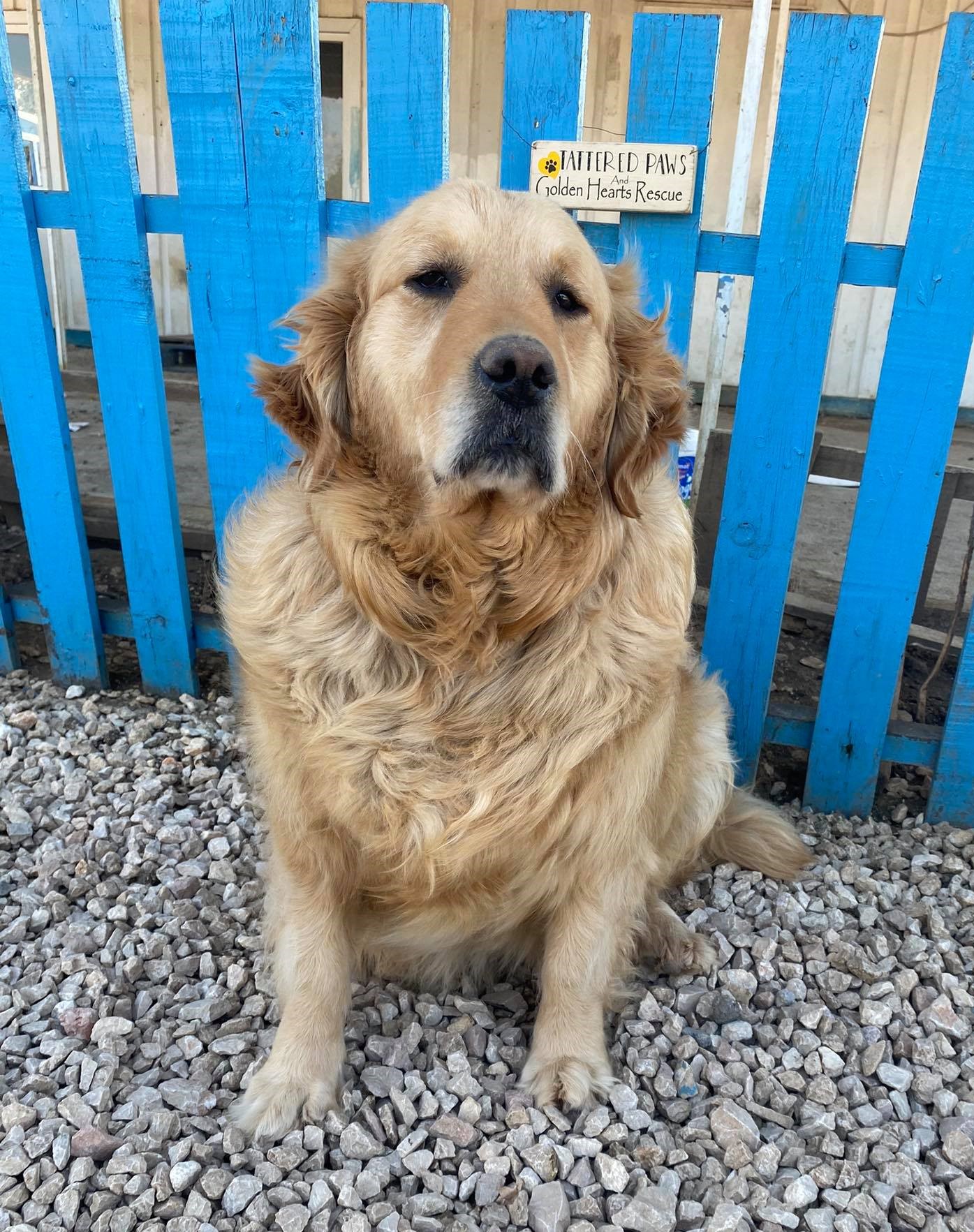 Baklava (fka Thelma)